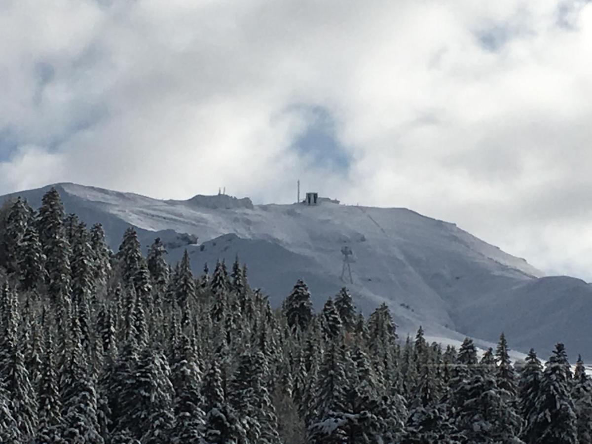 Le Lioran Studio Les Myrtilles A 200M Des Pistes Экстерьер фото