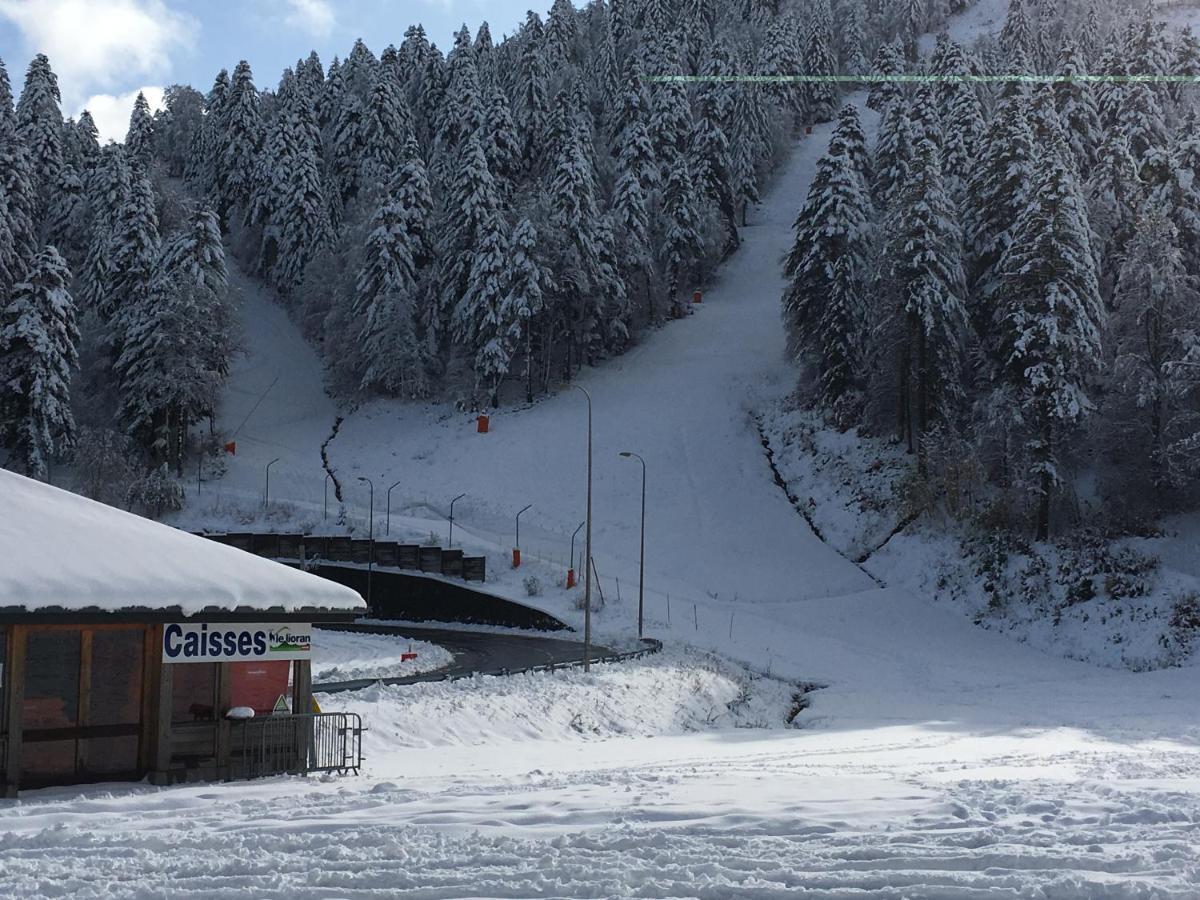 Le Lioran Studio Les Myrtilles A 200M Des Pistes Экстерьер фото
